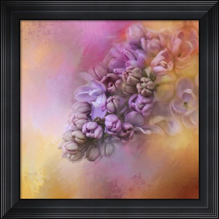 Framed Sun On The Lilacs Print