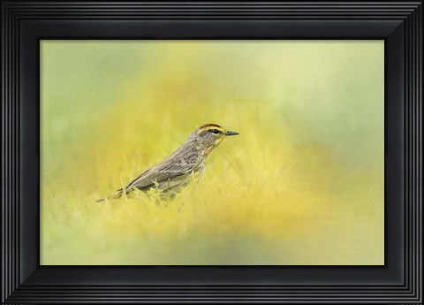 Framed Welcome New Friend Print