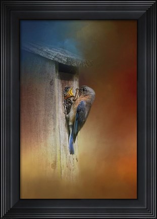 Framed Baby Bluebird Breakfast Print
