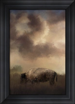 Framed Bison Grazing At Sunrise Print