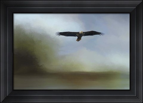 Framed Juvenile Eagle At The Lake Print