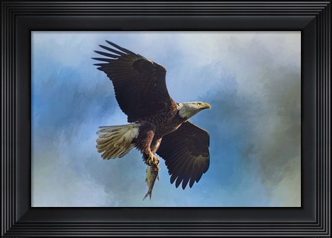 Framed Raptors Catch Print