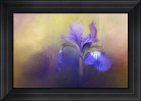 Framed Tiny Iris Print