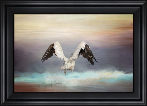 Framed Early Morning Swim Print