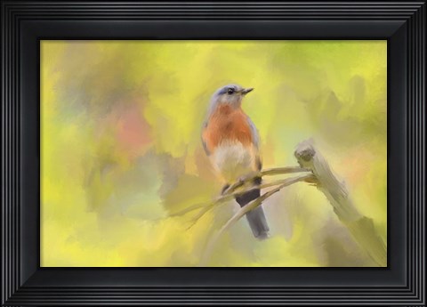 Framed Spring Bluebird Print