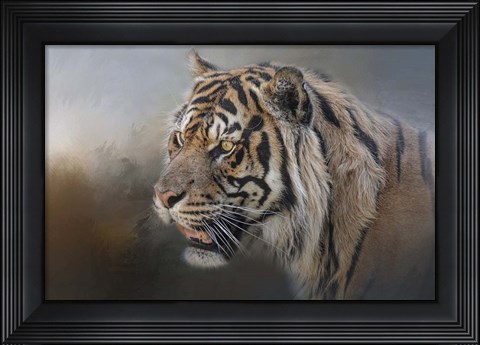 Framed Alert Bengal Print