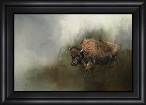 Framed Bison After The Mud Bath Print