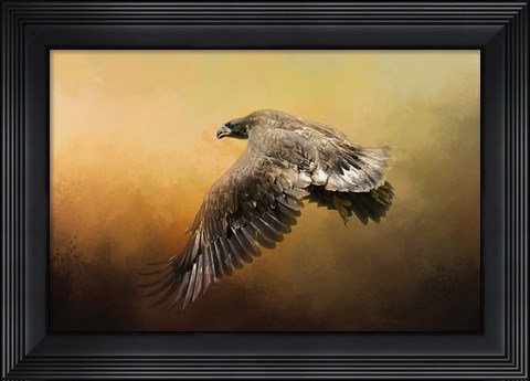Framed First Flight Print