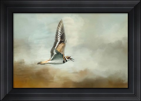 Framed Flight Of The Killdeer Print