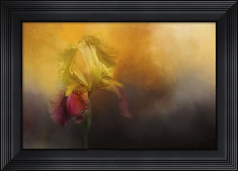 Framed Iris In Miss Junes Garden Print