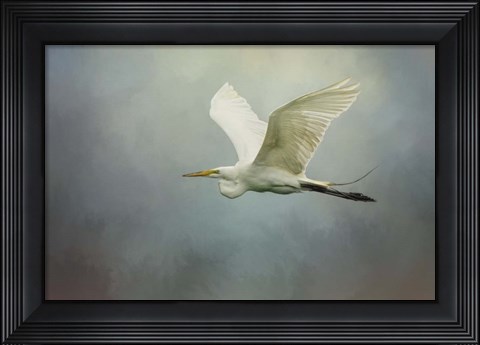 Framed Sea Flight Print