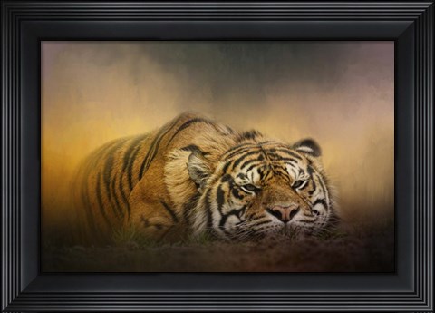 Framed Tiger Awakens Print