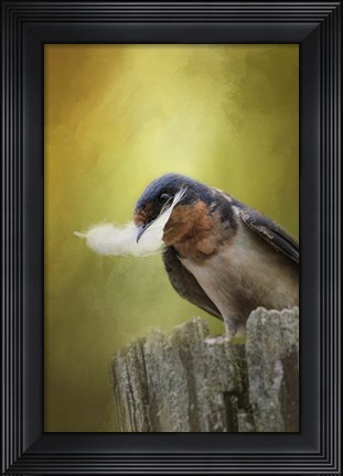 Framed Feather For Her Nest Print