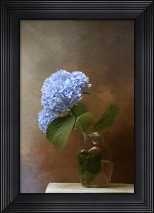 Framed Blue Hydrangea In A Vase Print