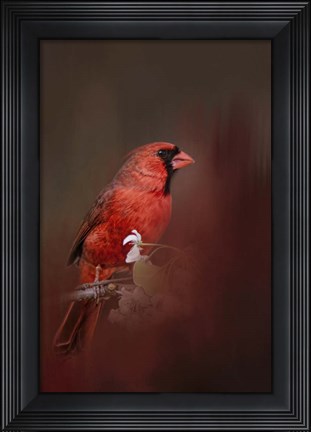 Framed Cardinal In Antique Red Print
