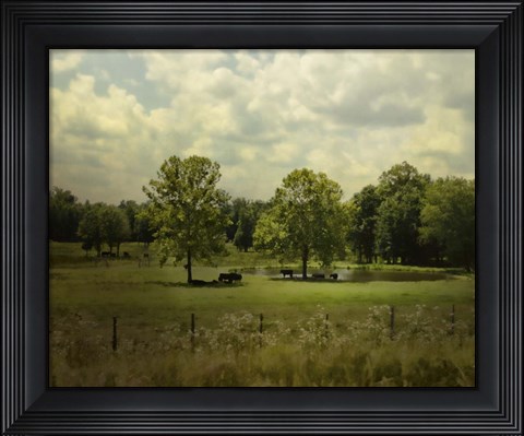 Framed Cattle Pond In Summer Print