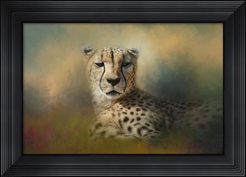 Framed Cheetah Enjoying A Summer Day Print