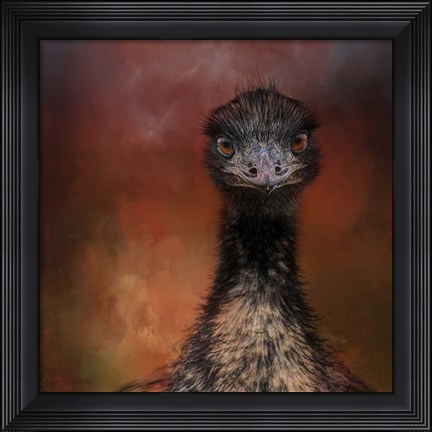 Framed Emu Stare Print