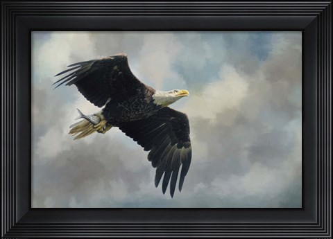 Framed Fish In The Talons Print