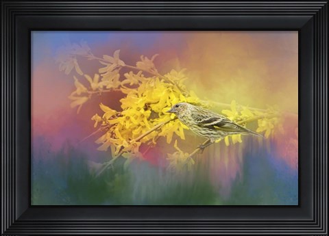 Framed Jewel In The Garden Print