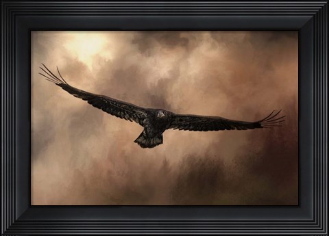 Framed Juvenile Bald Eagle In The Sepia Sky Print