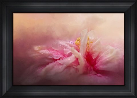 Framed Rain Diamonds Print