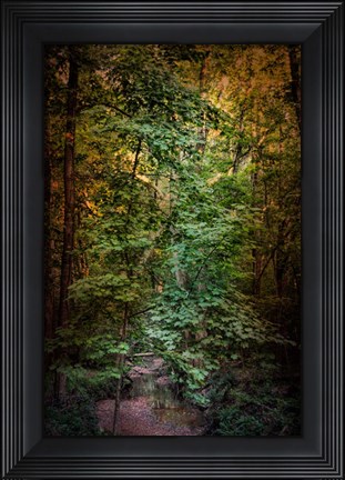 Framed Shiloh Stream 1 Print