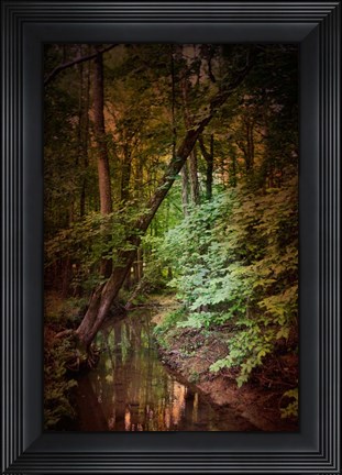 Framed Shiloh Stream 2 Print