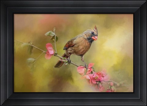 Framed Spring Cardinal 1 Print