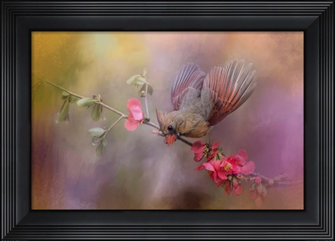 Framed Spring Cardinal 2 Print