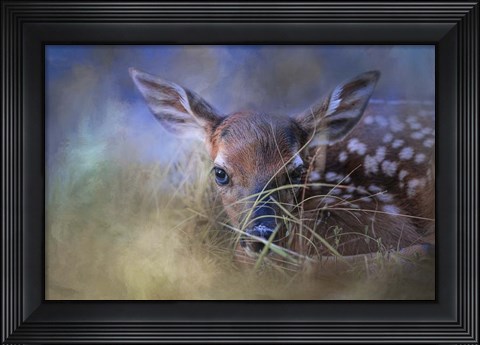 Framed First Fawn Print
