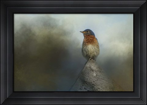 Framed Highest Point Print