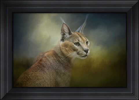Framed Tufted Ears Print