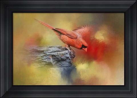 Framed Dive In Print