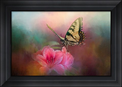 Framed Garden Friend 2 Print