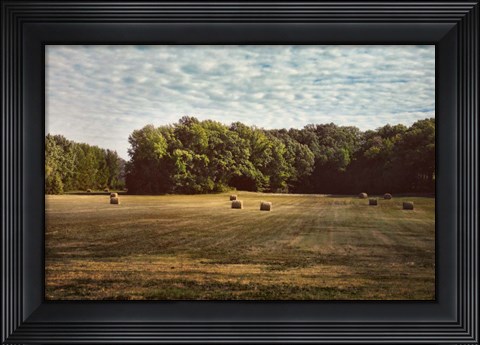 Framed Harvest Time Print