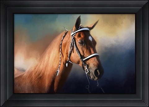 Framed Bathed In The Evening Light Print