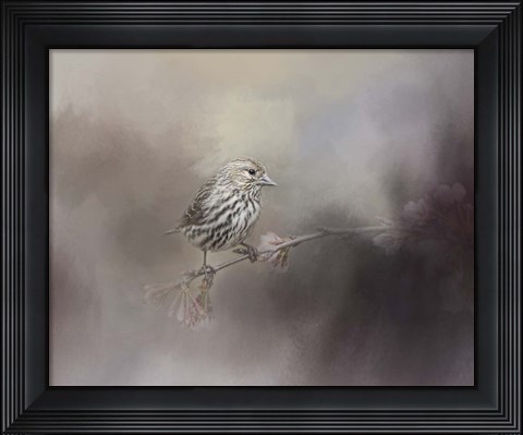 Framed Just A Whisper of Feathers Print