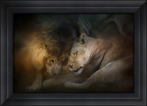 Framed Lion Love Print