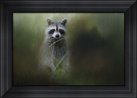 Framed Little Bandit Print