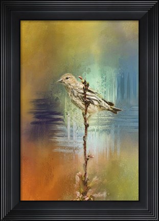 Framed Many Colors 2 Print