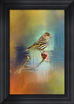 Framed Many Colors Print