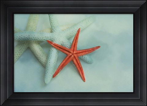Framed Ocean Treasures Print