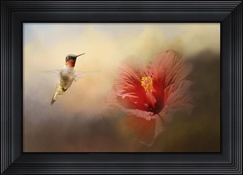 Framed Romancing The Hibiscus Print