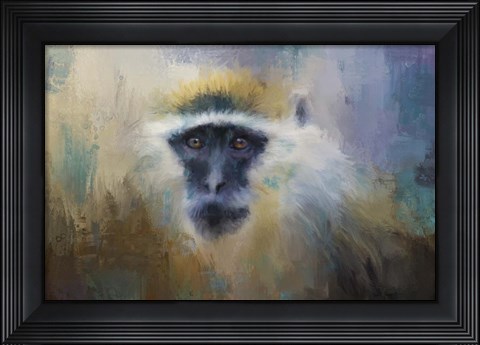 Framed African Grivet Monkey Print