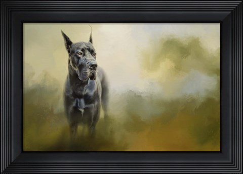 Framed Wistful Dane Print