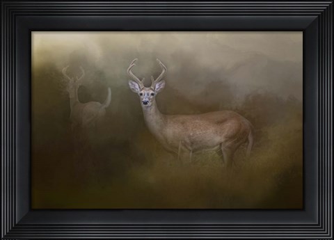 Framed Bucks In August Print