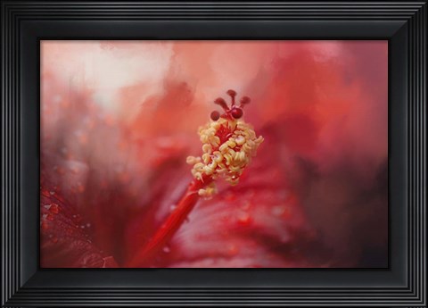 Framed Glorious Bloom Print