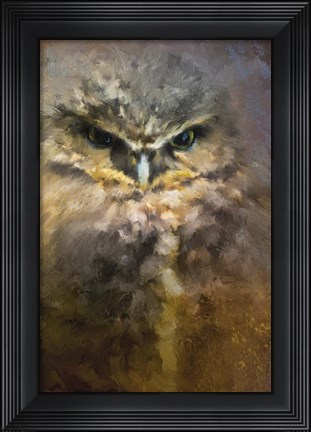 Framed Burrowing Owl Print