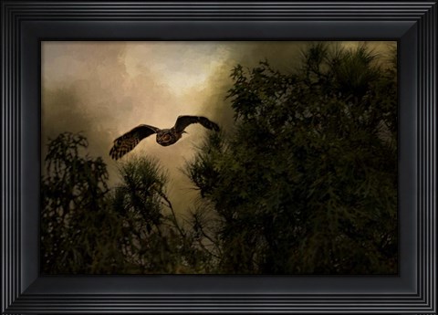 Framed Night of The Owl 1 Print